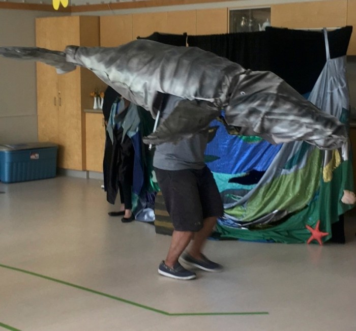 Photos 2019 Story of Herring Jay Peachy 3